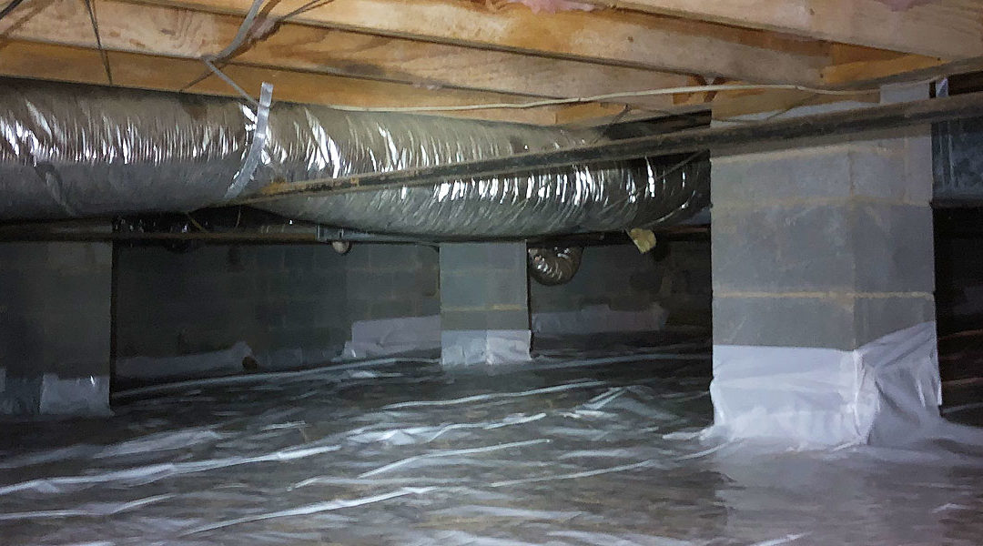3 Crawlspace Waterproofing Tips to Keep Basement Pests Out Lisle, IL