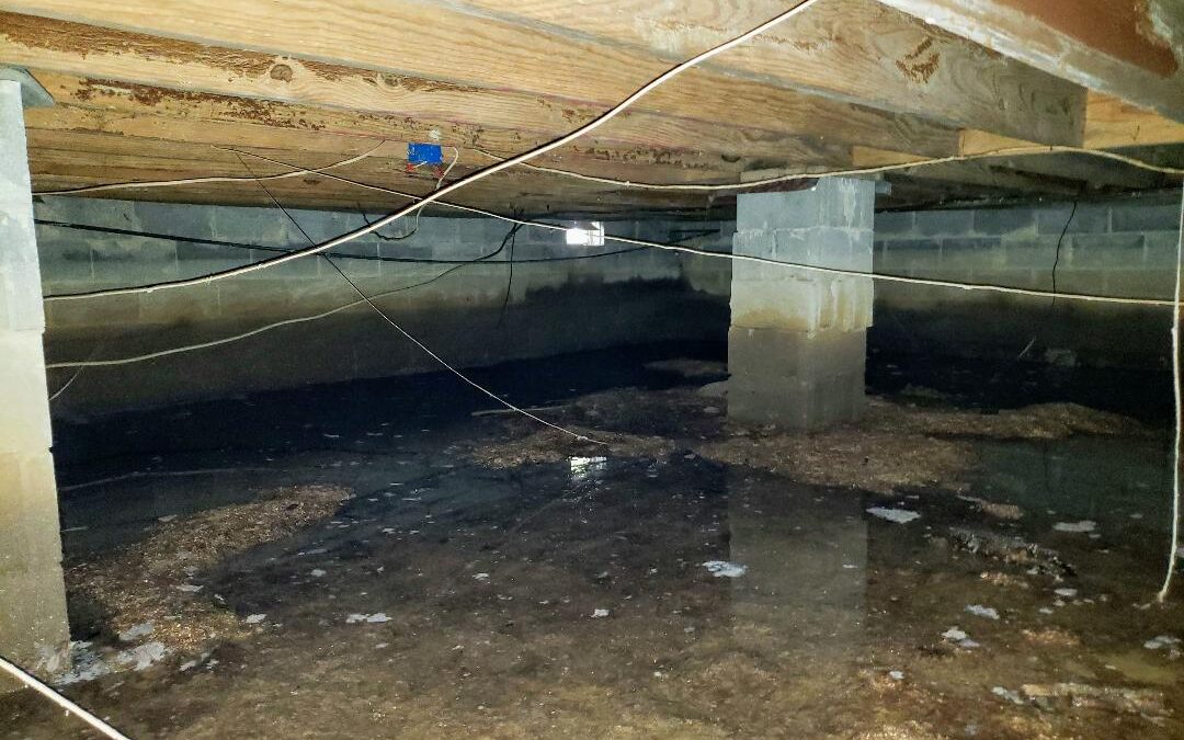 4 Tips To Reduce Moisture In The Crawlspace Of Your Home Batavia, IL