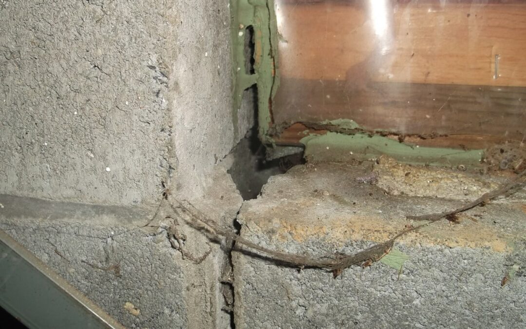 3 Kinds of Basement Wall Cracks and Why You Should Have Your Foundation Inspected Batavia, IL