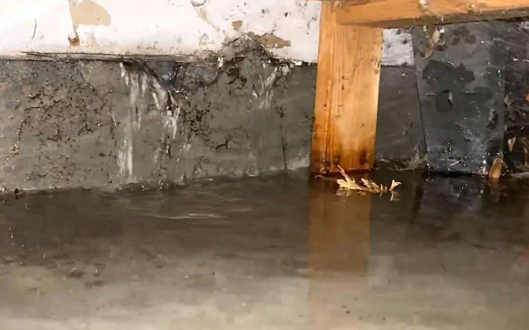 basement-flooding-woodridge-il-premium-waterproofing-3