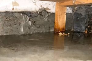 basement-flooding-woodridge-il-premium-waterproofing-3